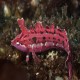 Crevice kelpfish