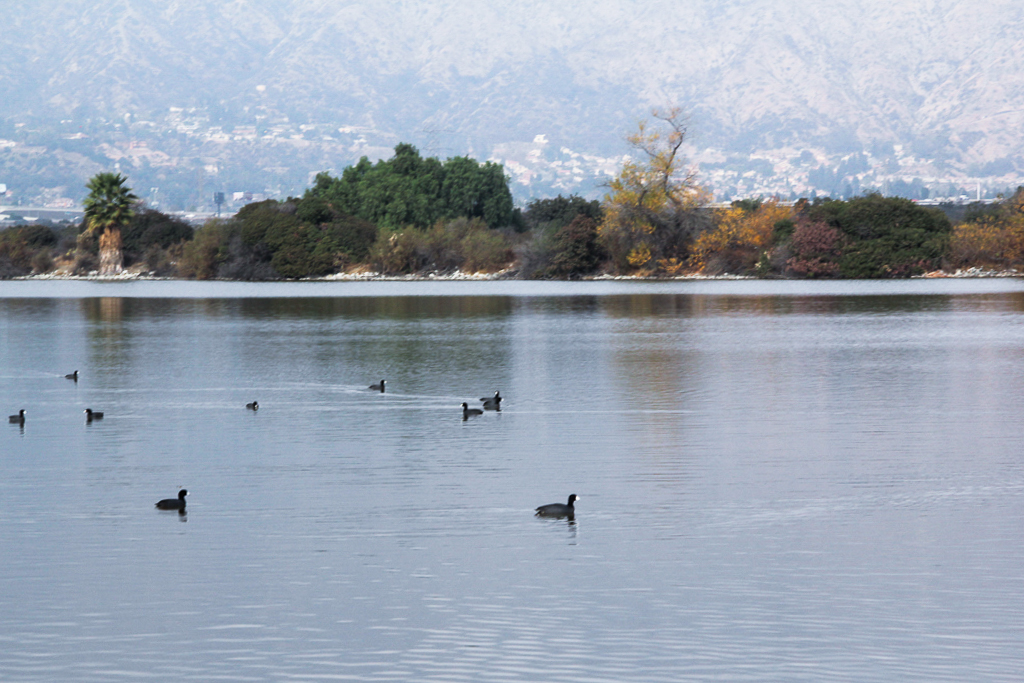 This is a photo caption