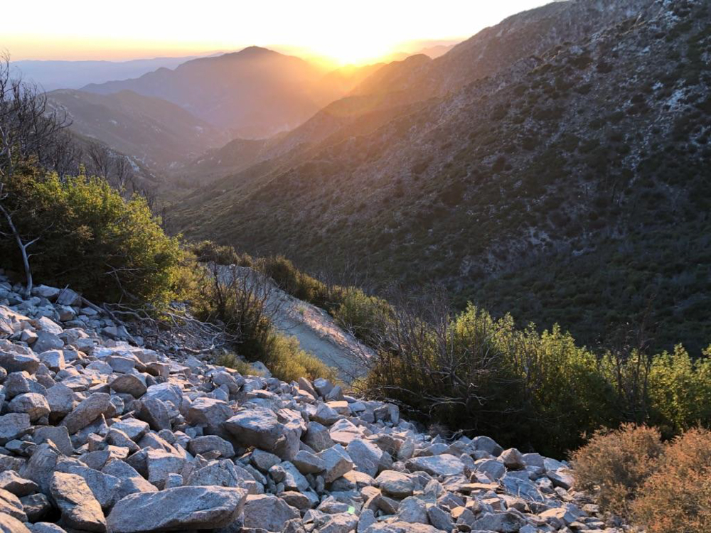 This is a photo caption