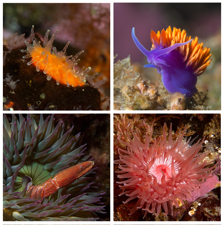 This is a photo caption