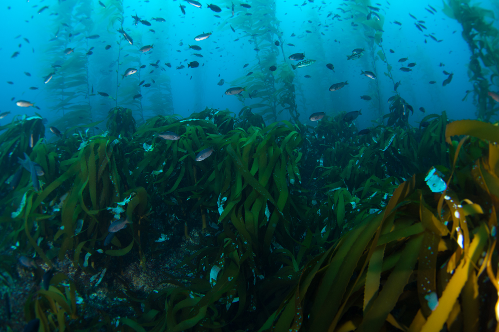 This is a photo caption