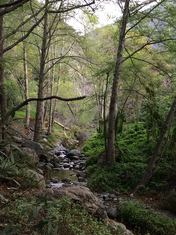 This is a photo caption