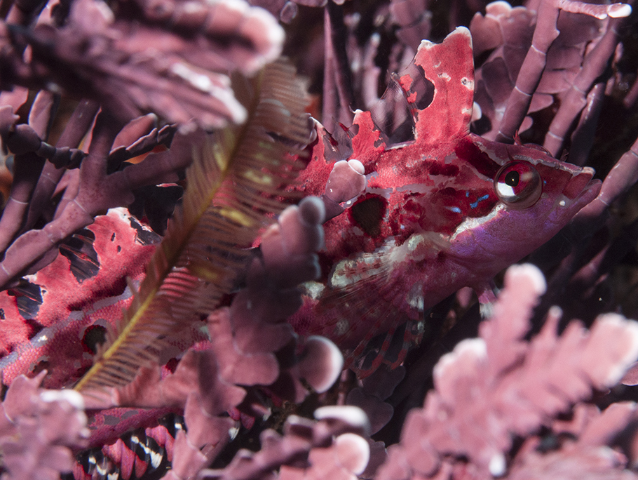 This is a photo caption