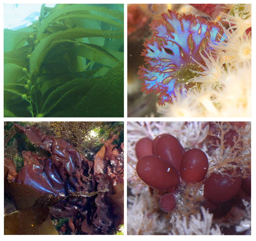 This is a photo caption