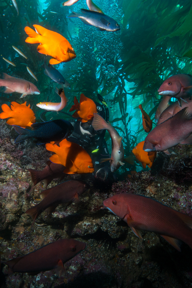 This is a photo caption