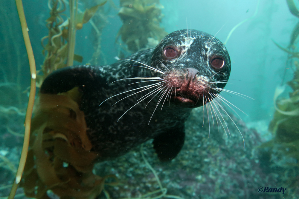 This is a photo caption