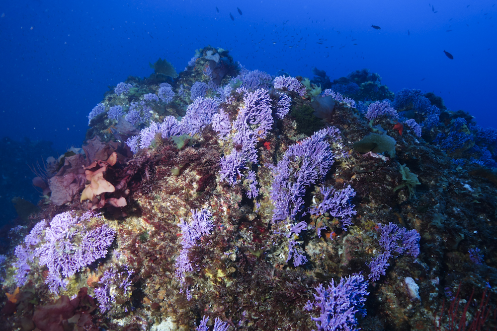 This is a photo caption