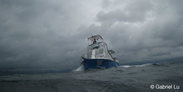 This is a photo caption