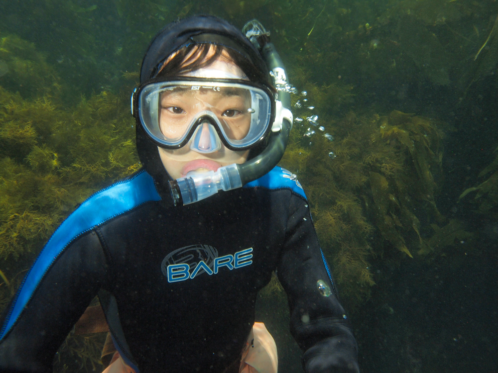 This is a photo caption