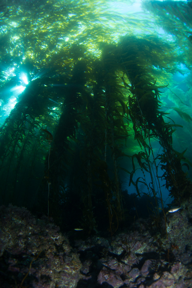 This is a photo caption