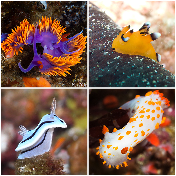 This is a photo caption