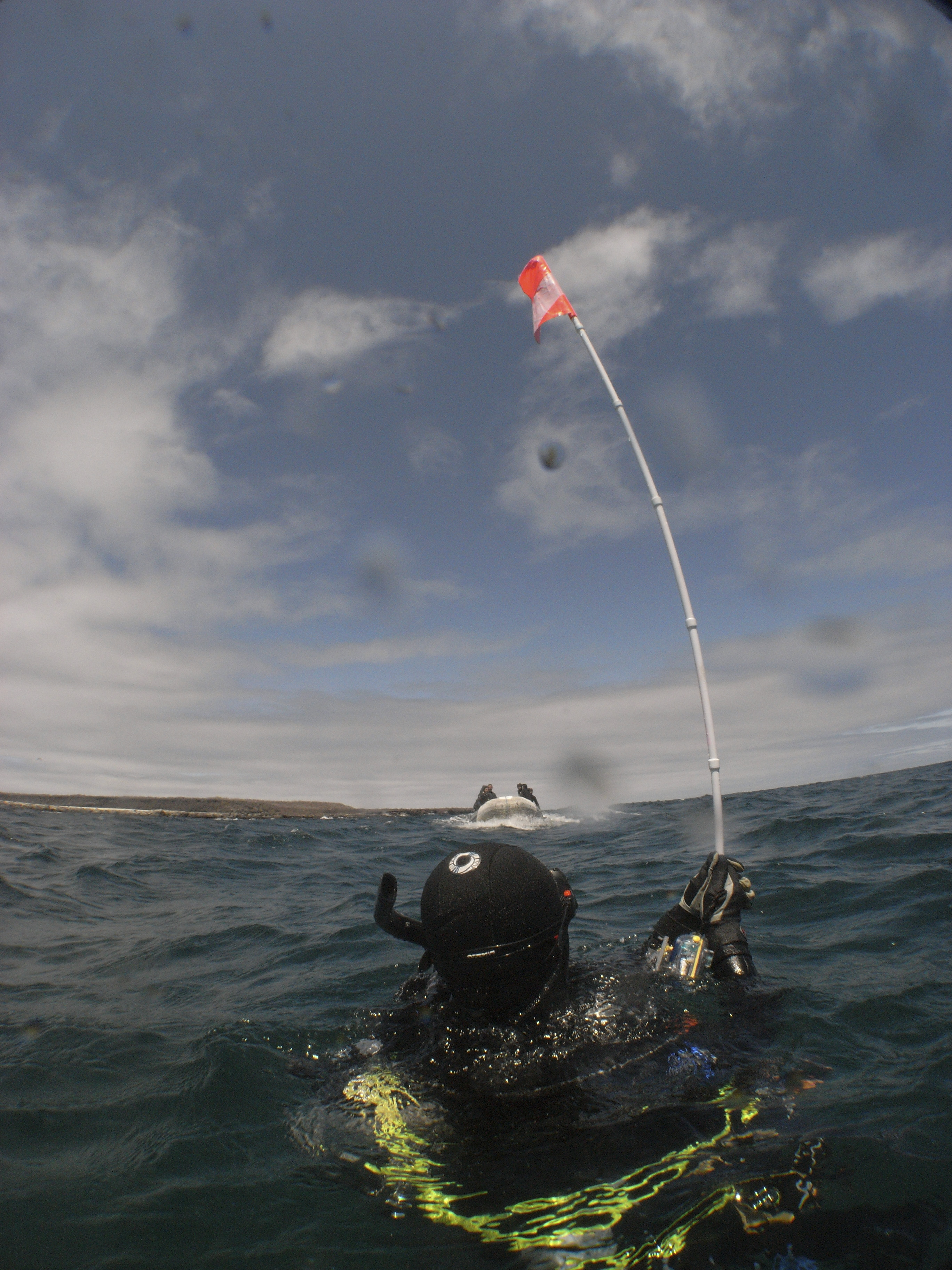 This is a photo caption