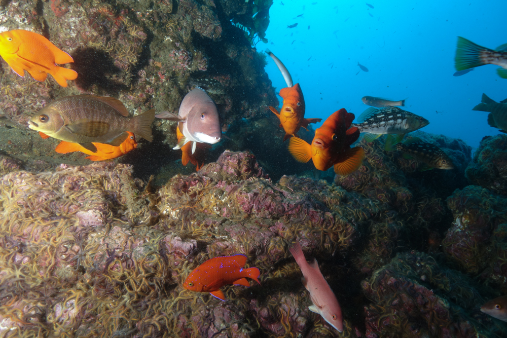 This is a photo caption