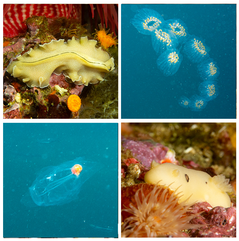 This is a photo caption