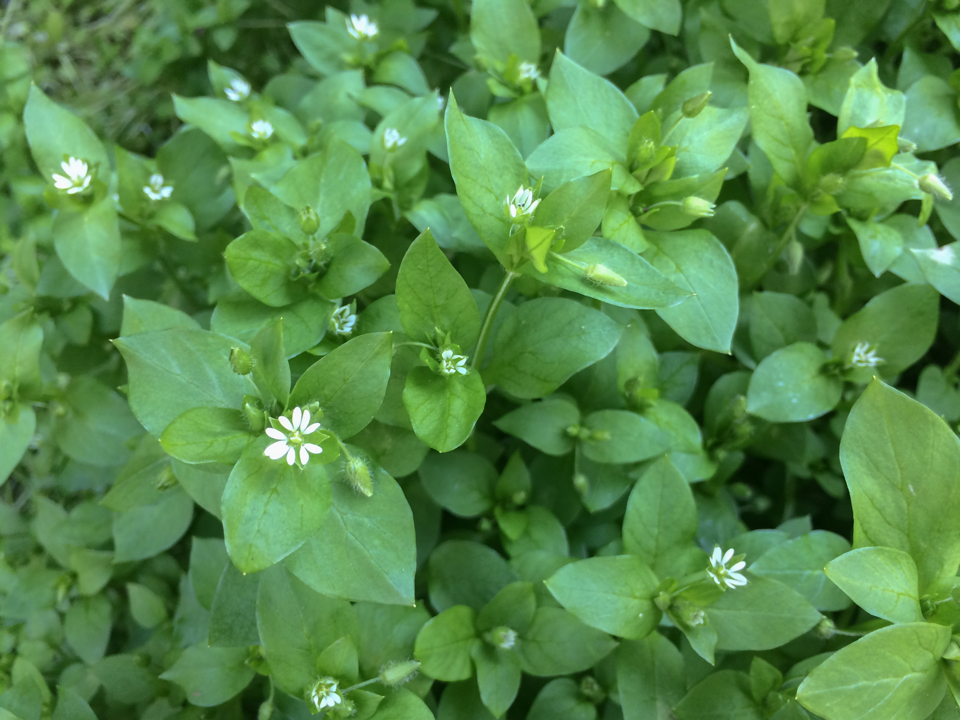 This is a photo caption