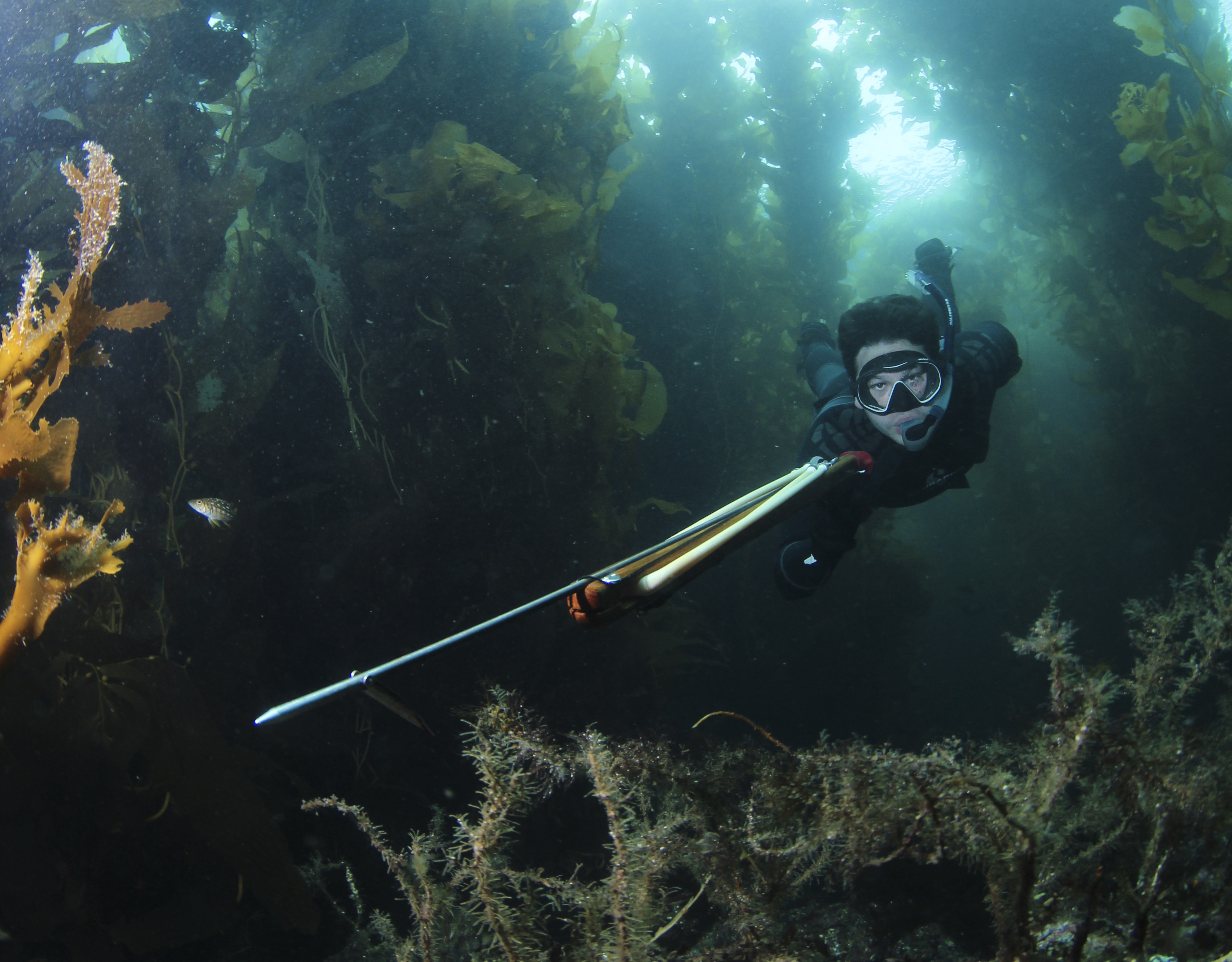 This is a photo caption