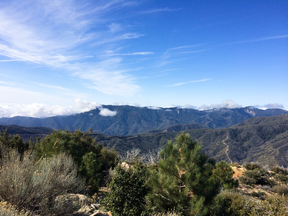 This is a photo caption