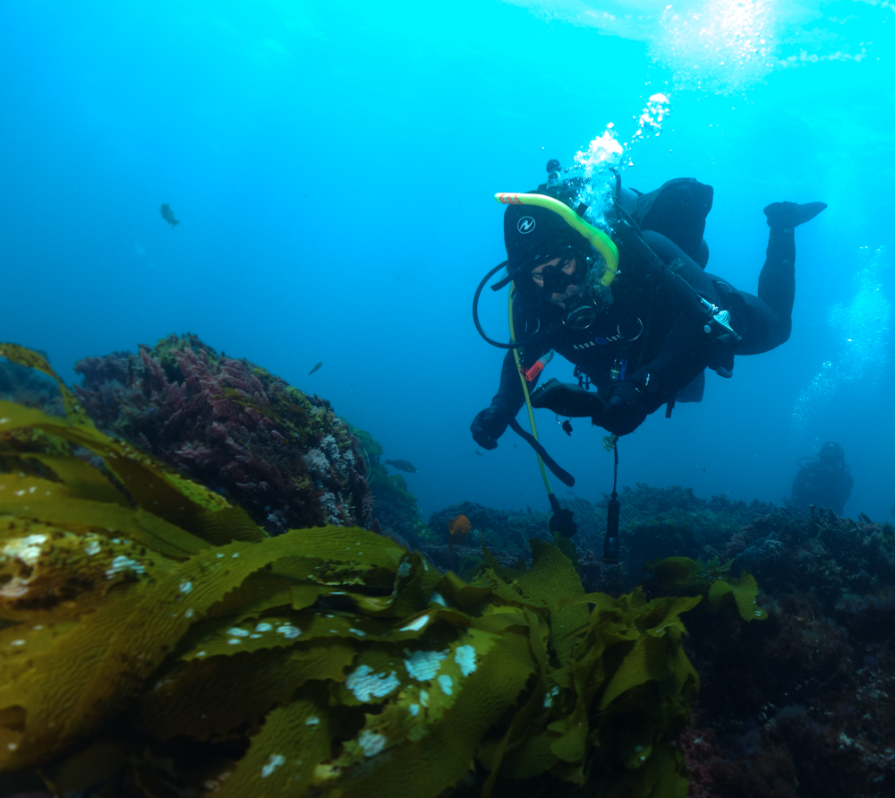 This is a photo caption