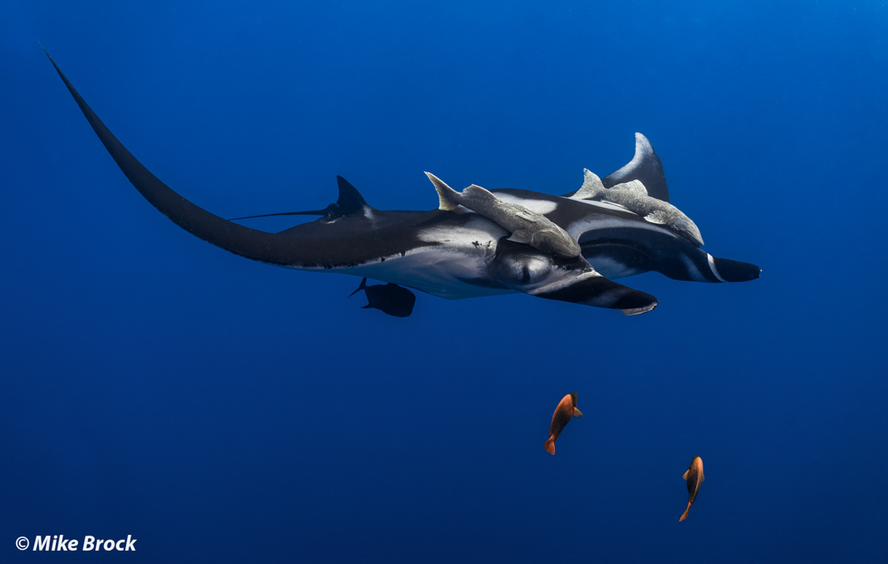 This is a photo caption