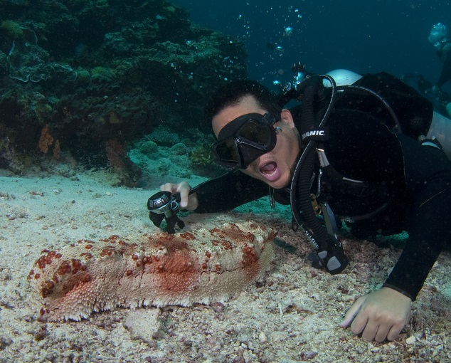 Diver Name