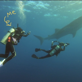 Diver Name