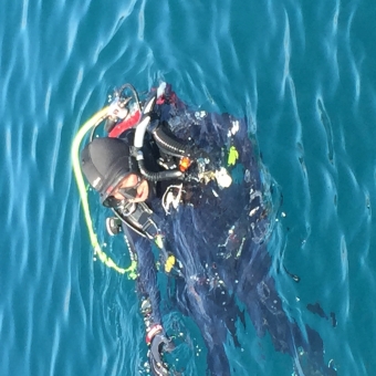 Diver Name