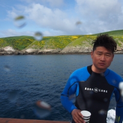 Santa Barbara Island