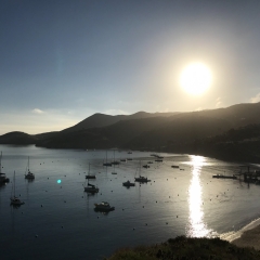 Catalina Island