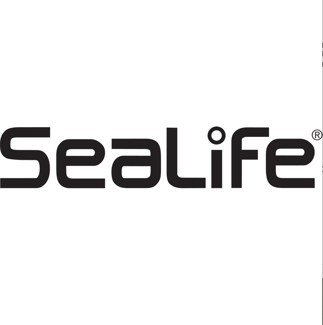 dive gear brand name